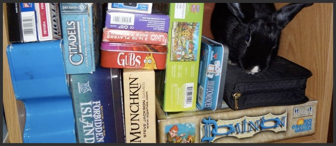 The game Bora Bora set up and ready to play.