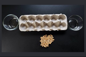 Egg Carton Mancala